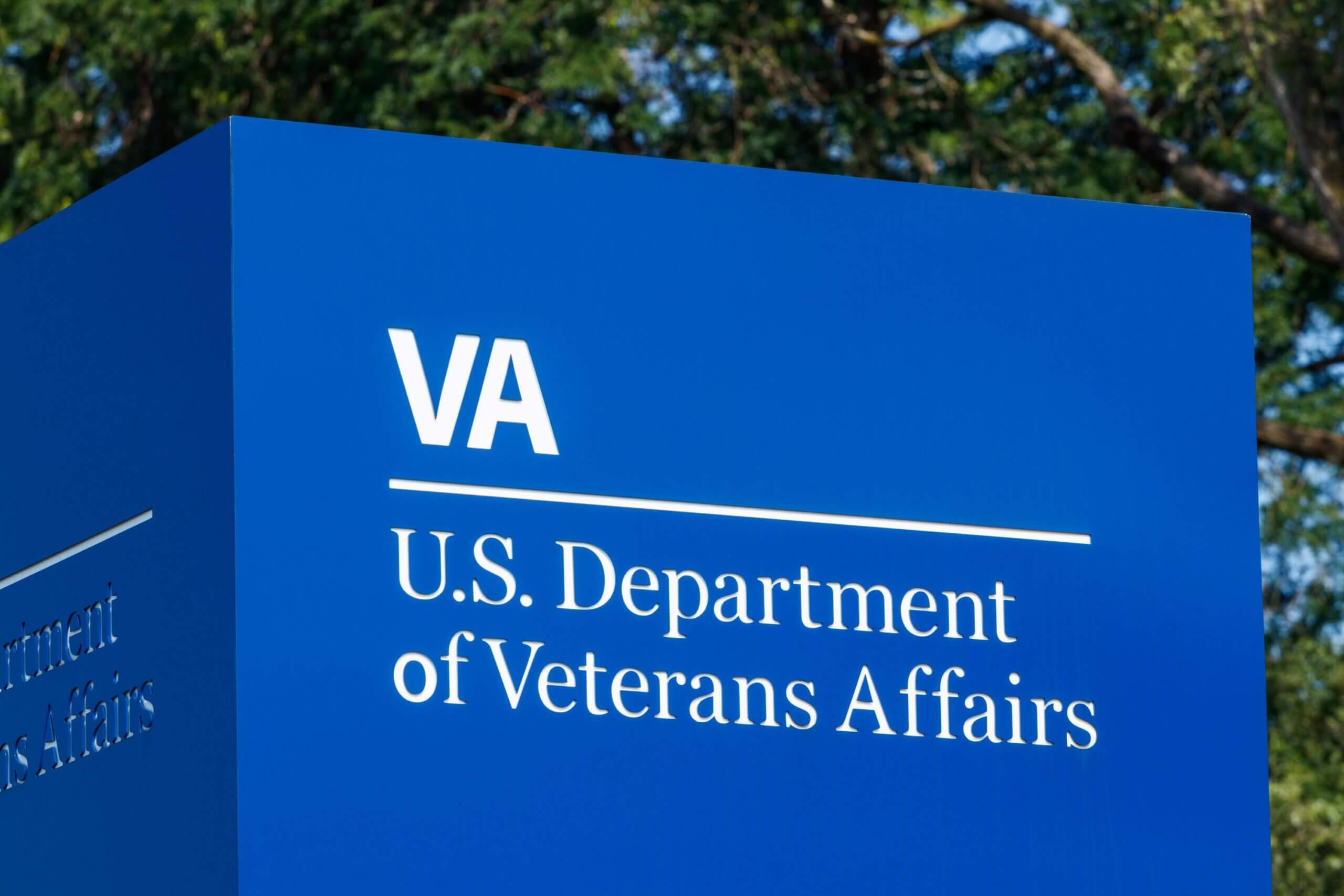 The Department of the VA