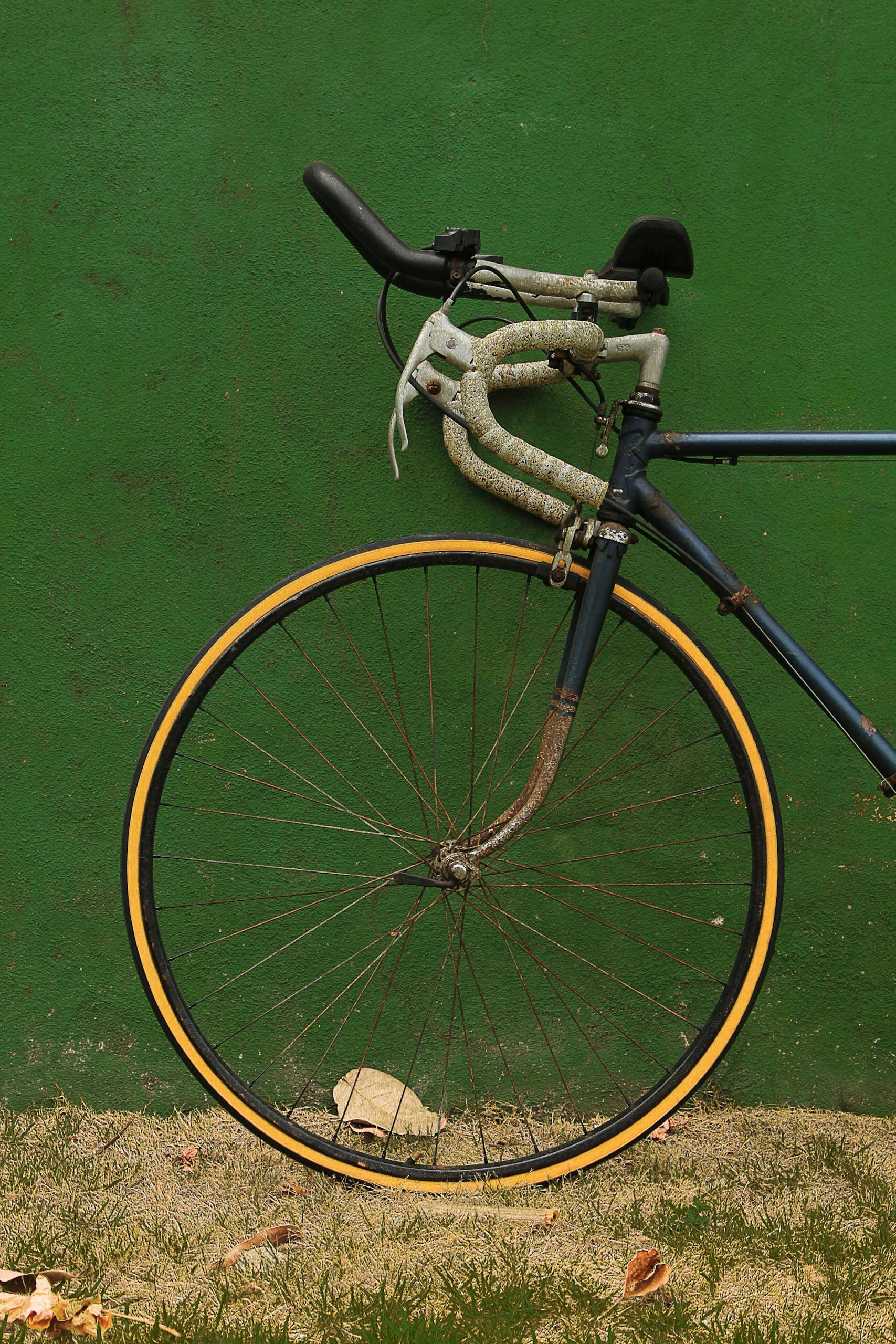 Black Bicycle Leaning on Green Wall