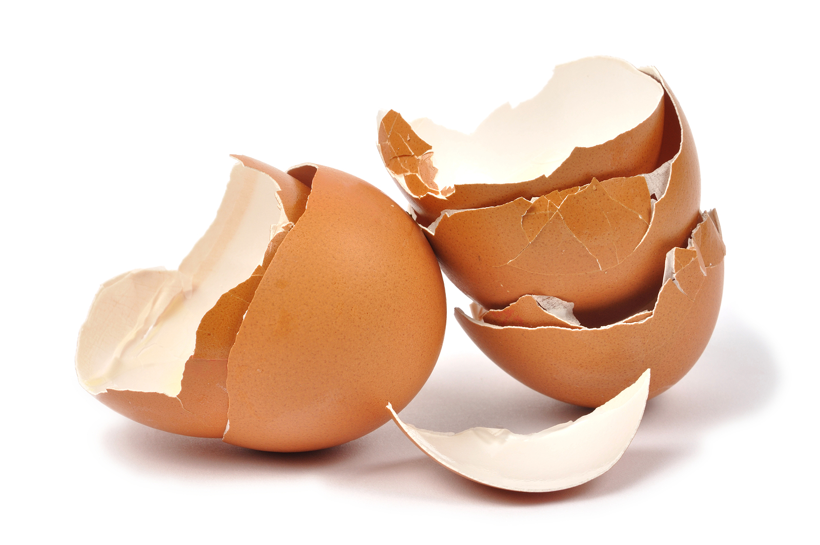 Eggshell Plaintiff - Paul Padda Law